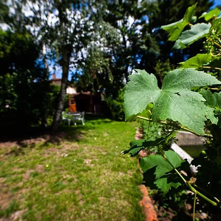 Séjour chez l'habitant Mirguet Au Jardin *