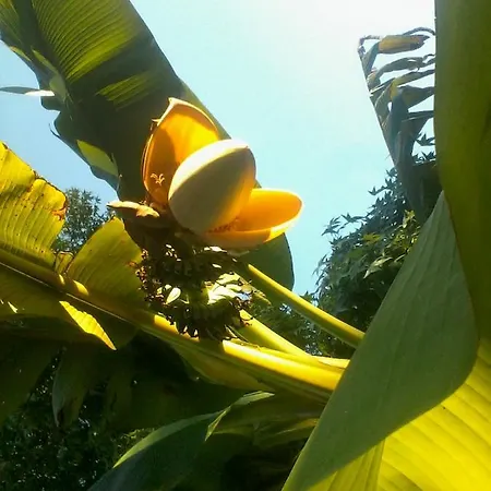 Kwatera prywatna Mirguet Au Jardin Saint-Elix-le-Chateau