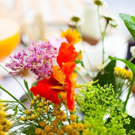 Mirguet Au Jardin Kwatera prywatna Saint-Elix-le-Chateau