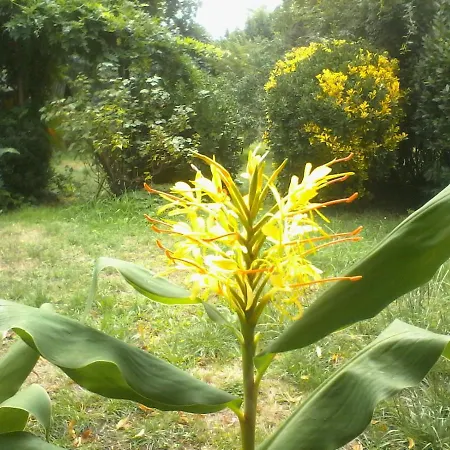 Rum i privatbostad Mirguet Au Jardin Saint-Elix-le-Chateau