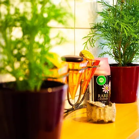 Mirguet Au Jardin Homestay Saint-Elix-le-Chateau