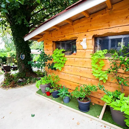 Mirguet Au Jardin Saint-Elix-le-Chateau