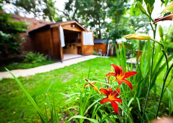 Mirguet Au Jardin Habitación en casa particular Saint-Elix-le-Chateau