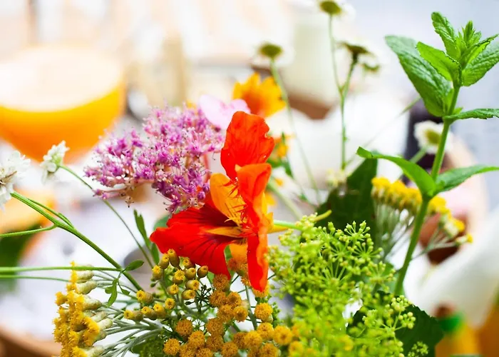 Mirguet Au Jardin Habitación en casa particular Saint-Elix-le-Chateau