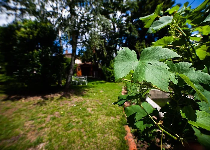 民宿 Mirguet Au Jardin *