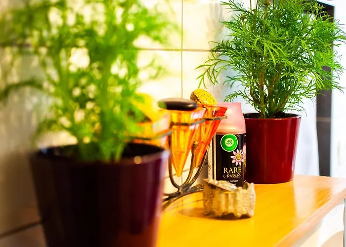 Mirguet Au Jardin Habitación en casa particular Saint-Elix-le-Chateau